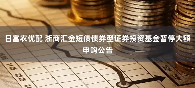 日富农优配 浙商汇金短债债券型证券投资基金暂停大额申购公告