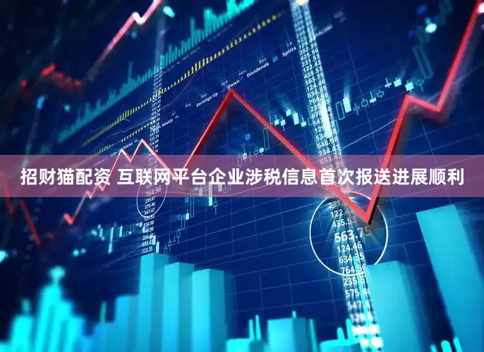 招财猫配资 互联网平台企业涉税信息首次报送进展顺利