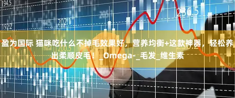 盈为国际 猫咪吃什么不掉毛效果好，营养均衡+这款神器，轻松养出柔顺皮毛！_Omega-_毛发_维生素